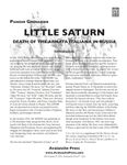 Panzer Grenadier: Little Saturn