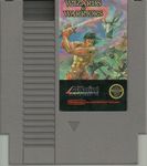 Video Game: Wizards & Warriors (1987)