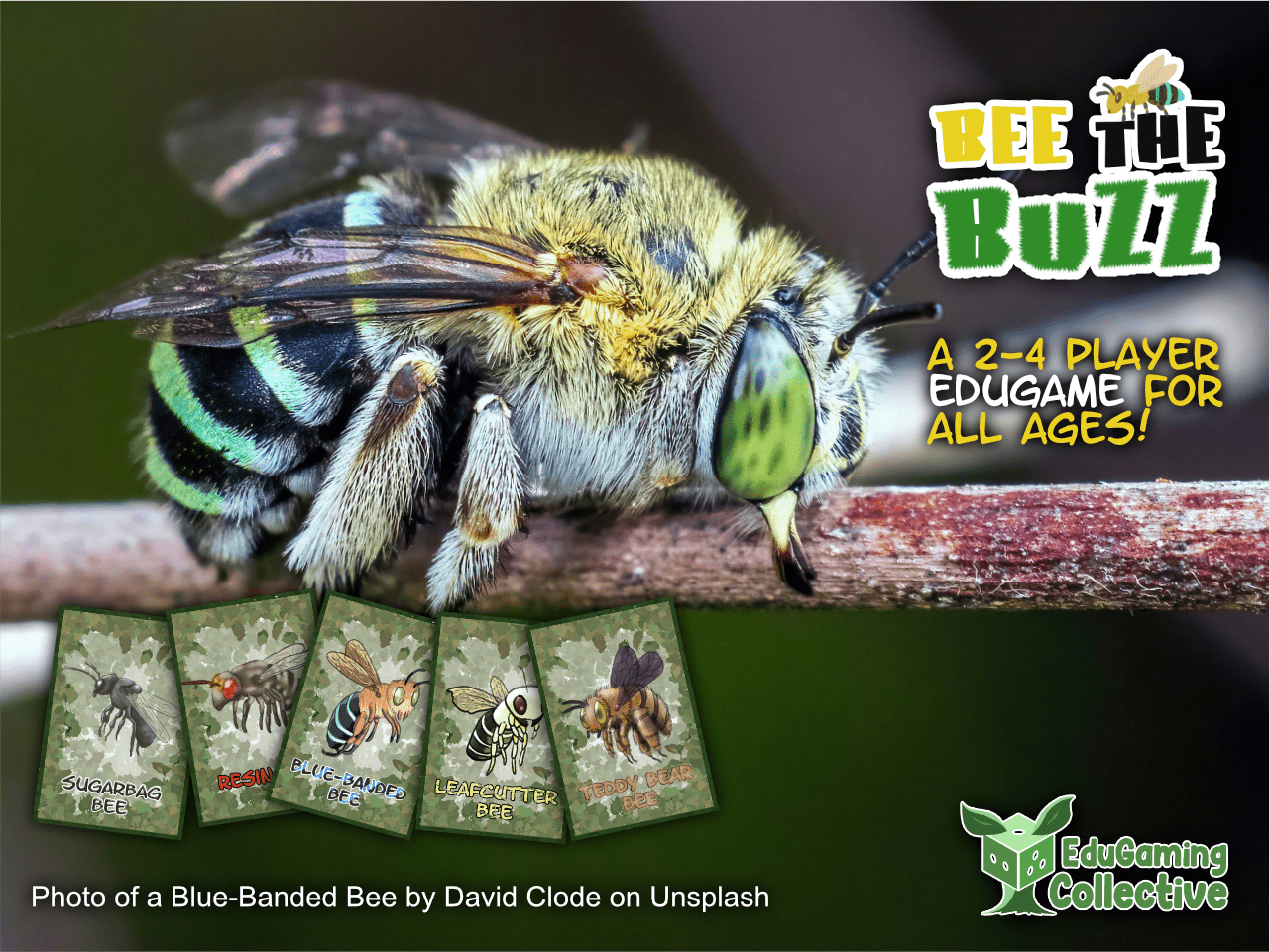 Coperta Bee The Buzz