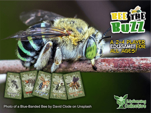 Bee The Buzz
