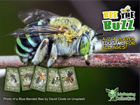 Bee The Buzz