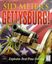 Video Game: Sid Meier's Gettysburg