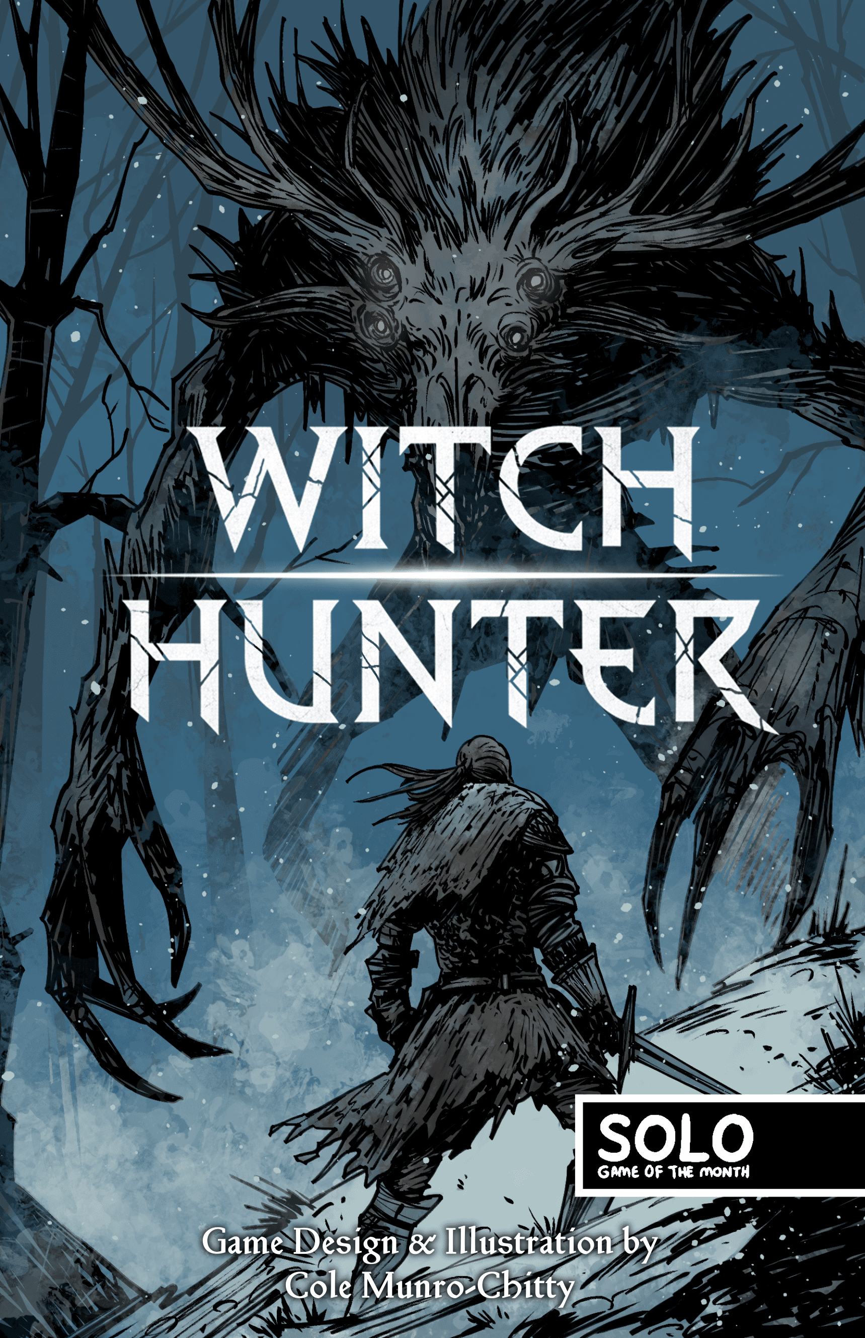 Cover art for Witch Hunter