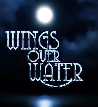 Wings Over Water box art