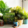 Verdant