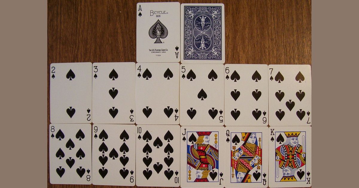 Standard deck. Семья шпиона игральные карты. Role playing Cards.
