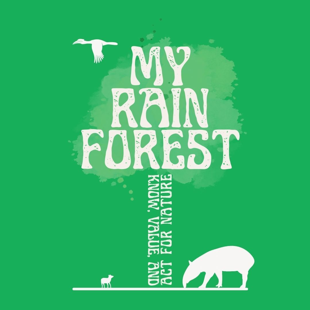 My Rainforest box art