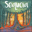 Board Game: Sequoia