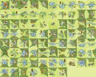 Board Game: Carcassonne: Hunters and Gatherers