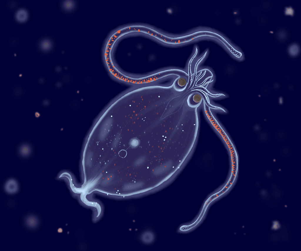 Illustration 12 de Abyssalia: Life in the Dark