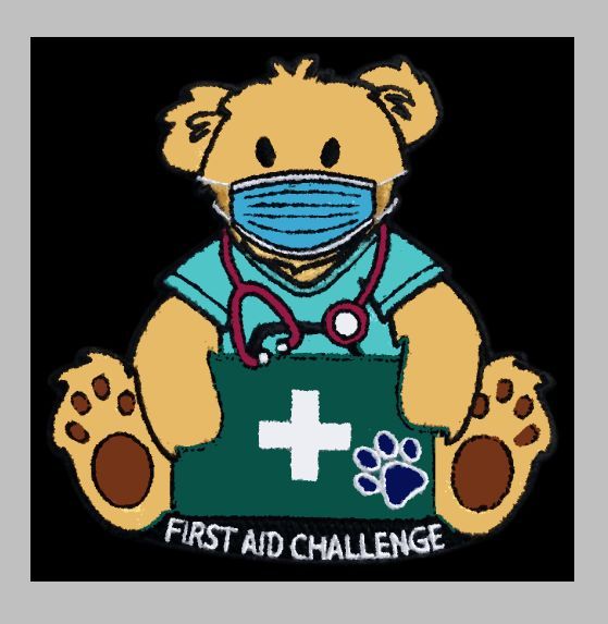 First Aid Challenge
