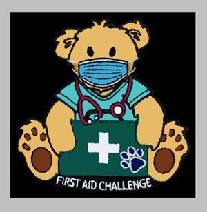 First Aid Challenge