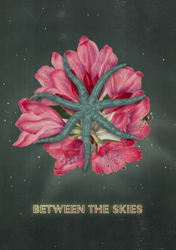 Between the Skies box art