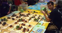 Ant Ranch