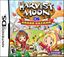 Video Game: Harvest Moon DS: Grand Bazaar