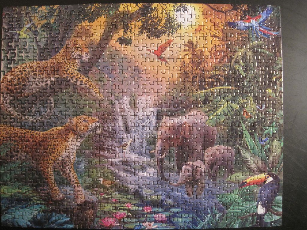 From gallery of Jude