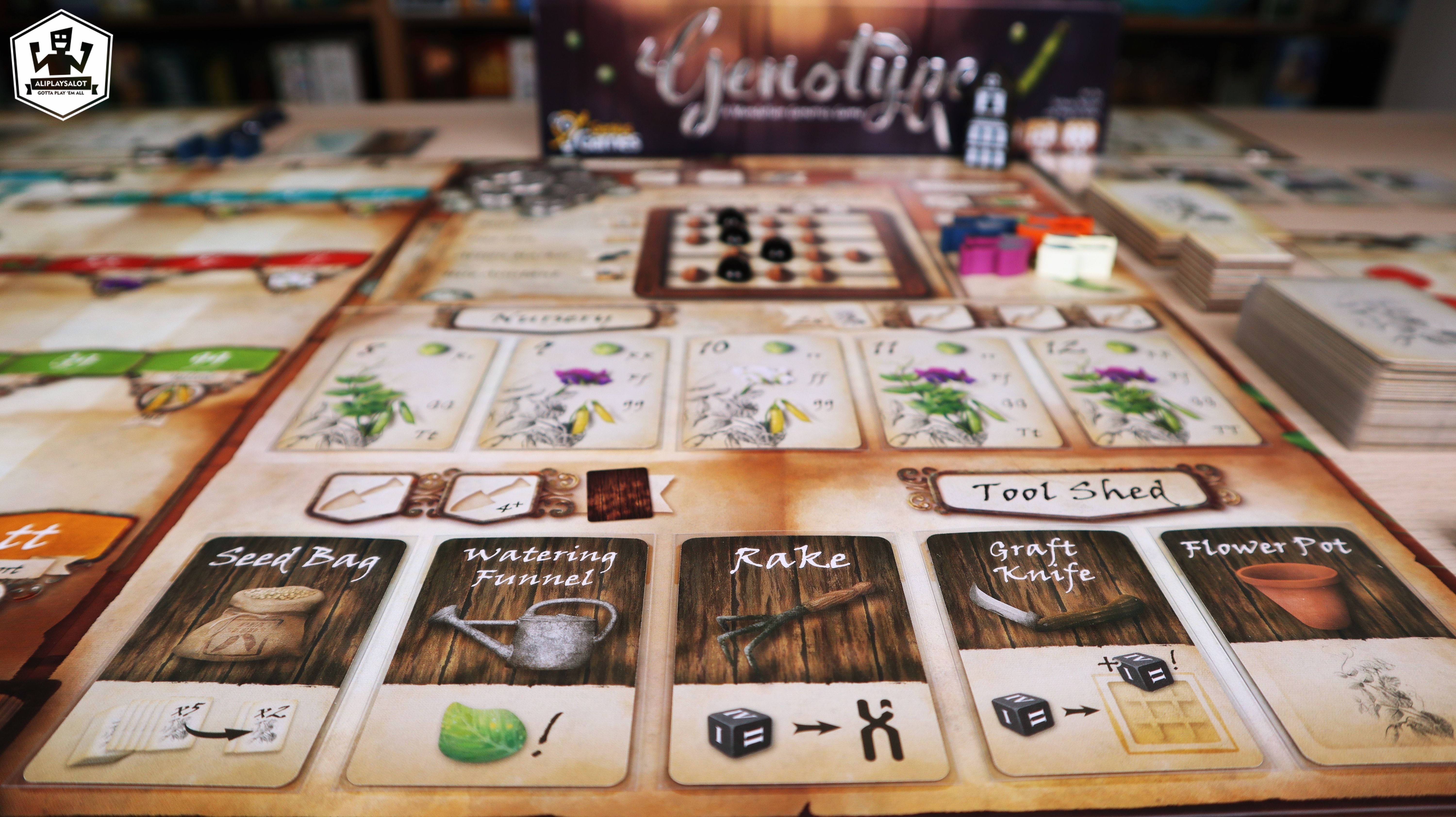 BoardGameGeek