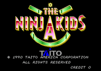 Video Game: Ninja Kids