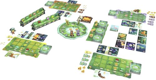 Board Game: Living Forest