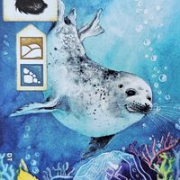 Meadow: Seal Promo Card