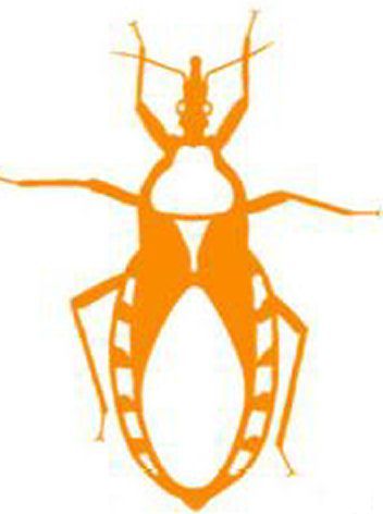 Assassin Bug (fan expansion for Hive)