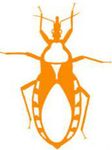 Assassin Bug (fan expansion for Hive)