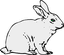 Character: Rabbit (Generic)