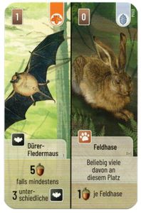 Mischwald: Dürer-Fledermaus / Feldhase Promokarte