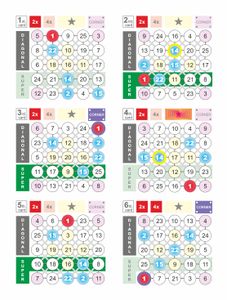 Bingo Pinball Boardgame