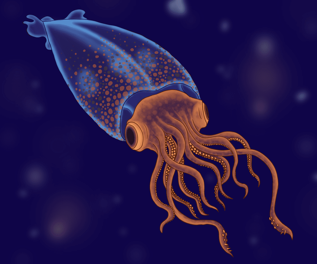 Illustration 7 de Abyssalia: Life in the Dark