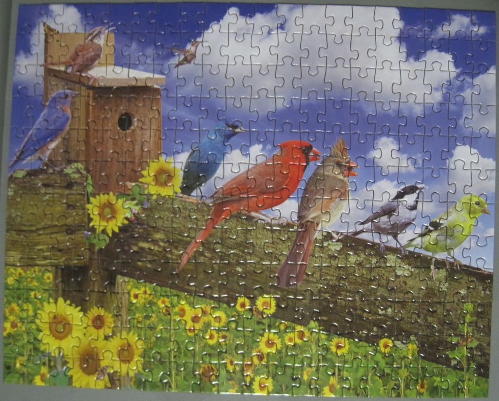 From gallery of Jude