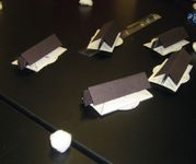 Brawl in the Dark