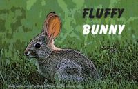 RPG Item: Fluffy Bunny