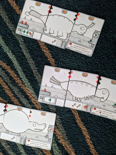 Board Game: Zany Zoo