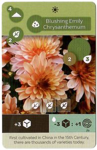 Earth: Blushing Emily Chrysanthemum Promo Card