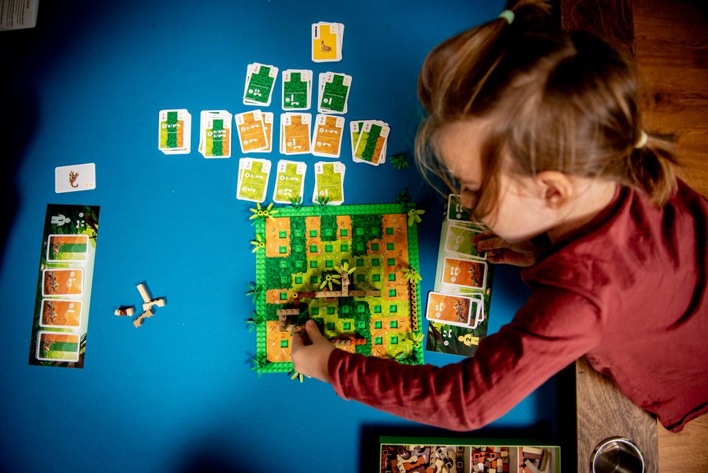 Monkey Palace @BoardGameColors
