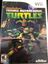 Video Game: Nickelodeon Teenage Mutant Ninja Turtles