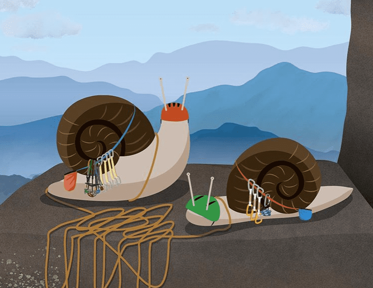 Illustration 1 de First Ascent