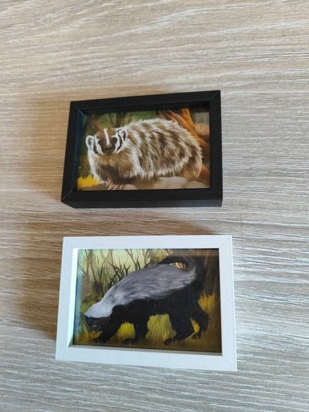 Illustration 7 de Badgers