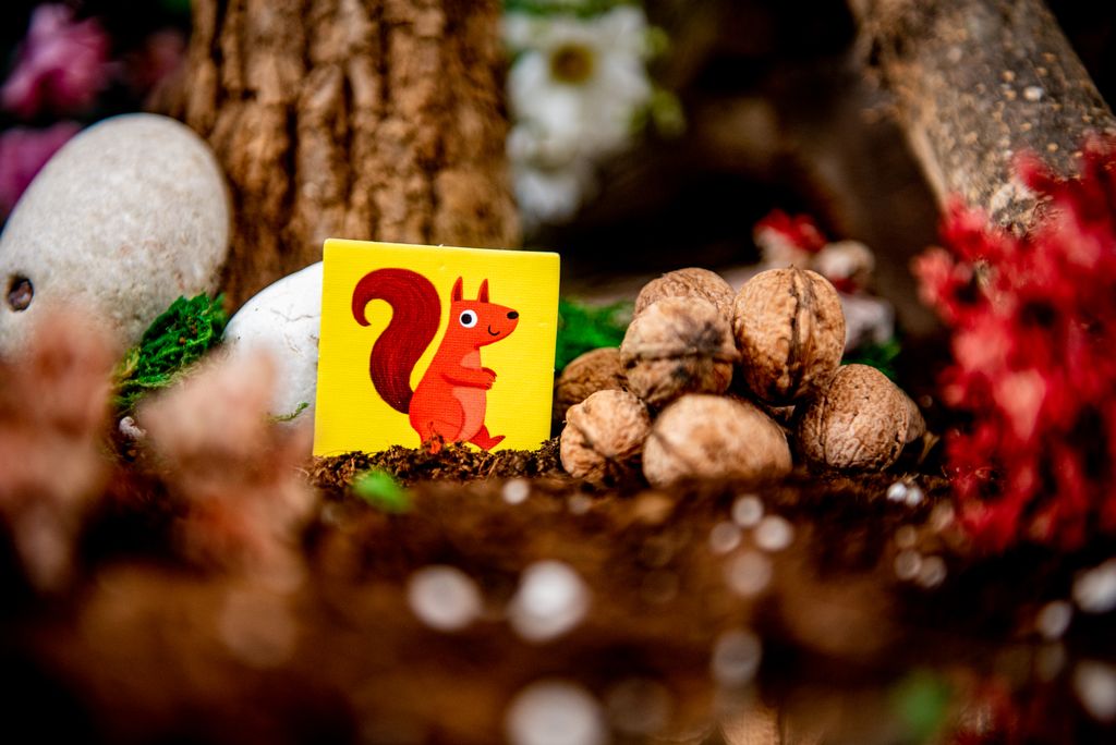 Forest First @BoardGameColors