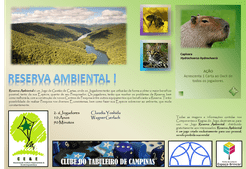 Reserva Ambiental