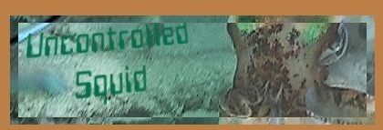 Uncontrolled Squid
