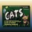 Board Game: CATS: a sad but necessary cycle of violent predatory behavior