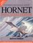 Video Game: Hornet: Naval Strike Fighter
