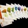 the colors!! Rainbow order
