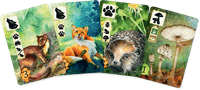 Meadow, Rebel Studio, 2021 — sample cards (image…