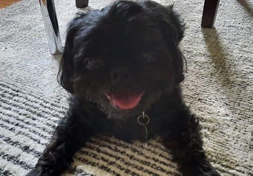 What S In A Game The Secrets Of Great Games Boardgamegeek