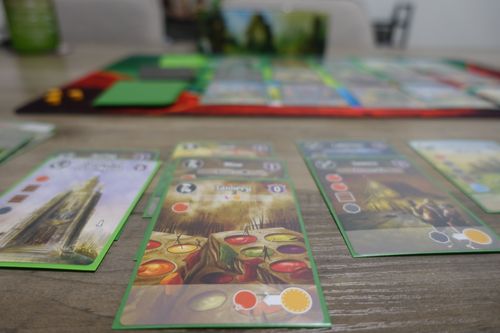 One Single Meeple