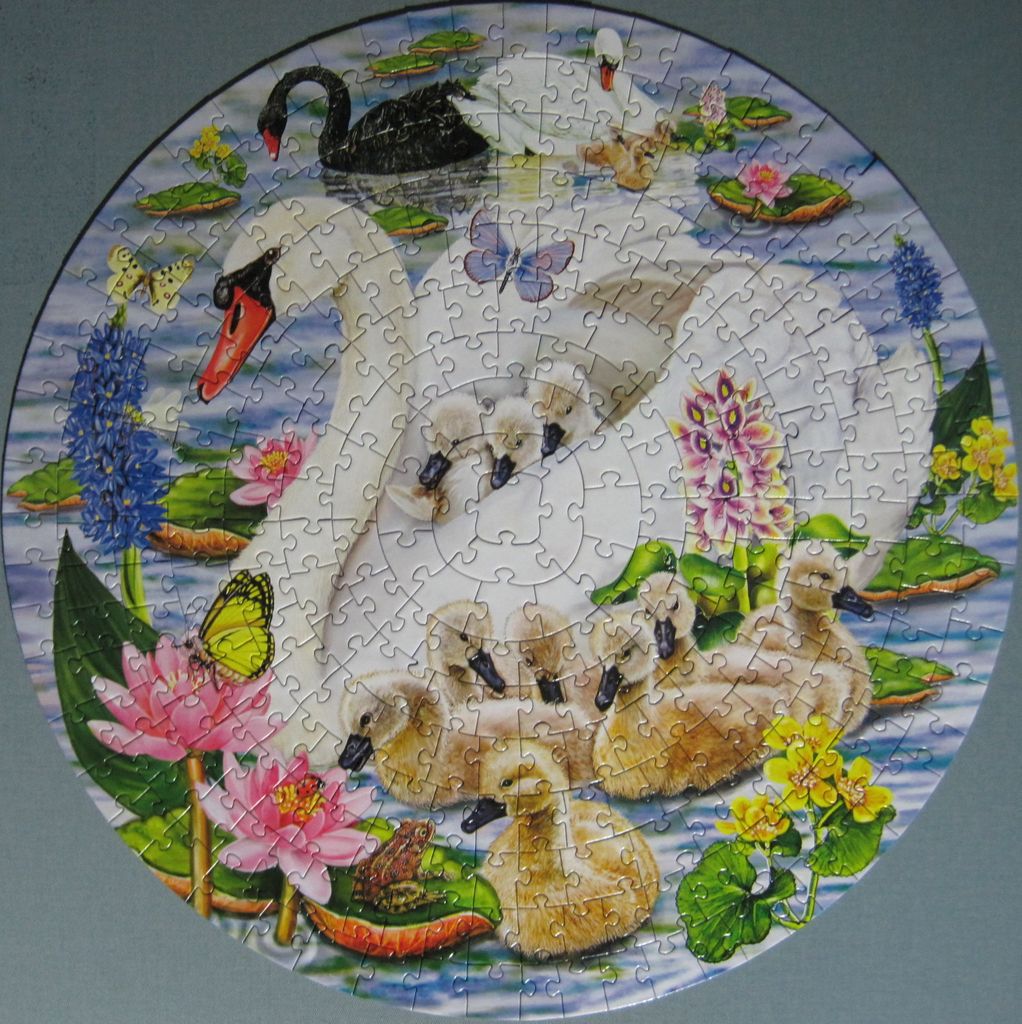 From gallery of Jude