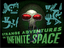 Video Game: Strange Adventures in Infinite Space